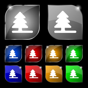 Christmas tree icon sign. Set of ten colorful buttons with glare. illustration