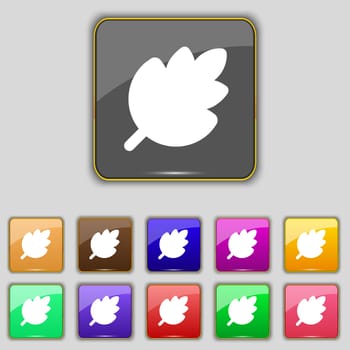 Leaf, Fresh natural product icon sign. Set with eleven colored buttons for your site. illustration