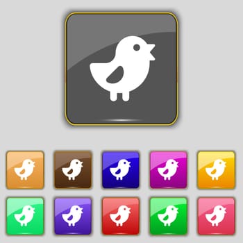 chicken, Bird icon sign. Set with eleven colored buttons for your site. illustration