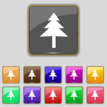 Christmas tree icon sign. Set with eleven colored buttons for your site. illustration