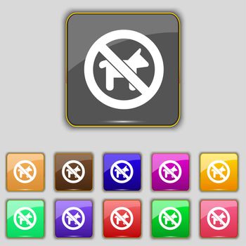 dog walking is prohibited icon sign. Set with eleven colored buttons for your site. illustration