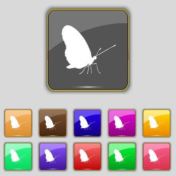 butterfly icon sign. Set with eleven colored buttons for your site. illustration