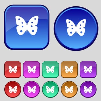 Butterfly sign icon. insect symbol. Set colourful buttons. illustration