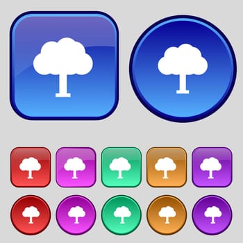 Tree, Forest icon sign. A set of twelve vintage buttons for your design. illustration