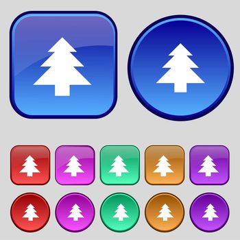 Christmas tree icon sign. A set of twelve vintage buttons for your design. illustration