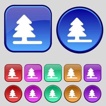 Christmas tree icon sign. A set of twelve vintage buttons for your design. illustration