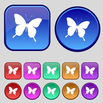 butterfly icon sign. A set of twelve vintage buttons for your design. illustration
