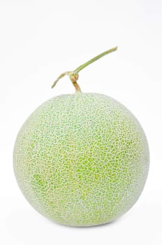 Big fresh Melon on white background