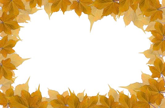 dry leaves frame isolated on white background