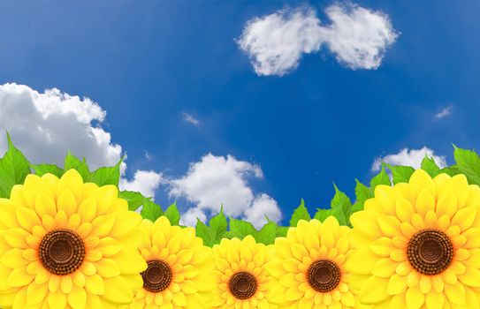 Sunflower and leaves with blue sky
