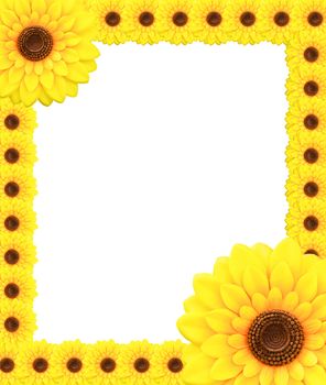 Sunflower frame isolated on a white background