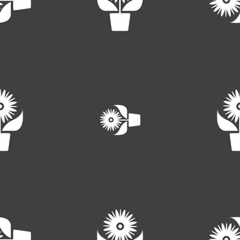 Flowers in pot icon sign. Seamless pattern on a gray background. illustration