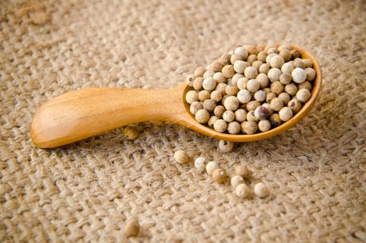 Allspice peppercorns in wooden spoon on sack background