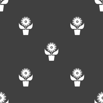 Flowers in pot icon sign. Seamless pattern on a gray background. illustration