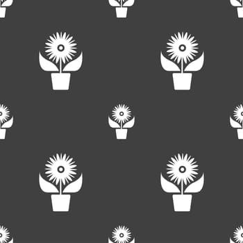 Flowers in pot icon sign. Seamless pattern on a gray background. illustration