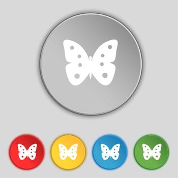 Butterfly sign icon. insect symbol. Set colourful buttons. illustration