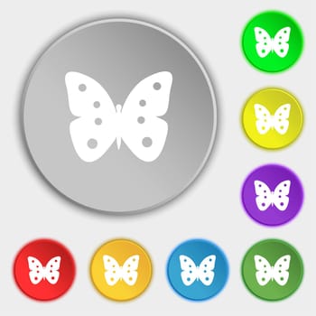 Butterfly sign icon. insect symbol. Symbols on eight flat buttons. illustration