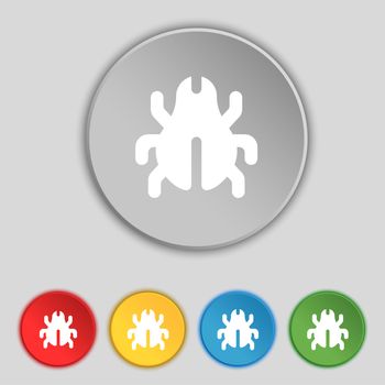 Software Bug, Virus, Disinfection, beetle icon sign. Symbol on five flat buttons. illustration