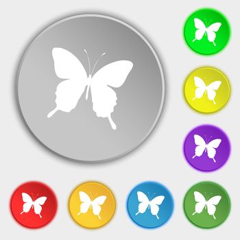 butterfly icon sign. Symbol on five flat buttons. illustration