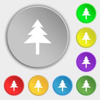 Christmas tree icon sign. Symbol on five flat buttons. illustration