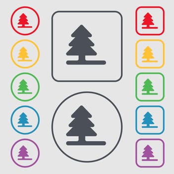 Christmas tree icon sign. symbol on the Round and square buttons with frame. illustration