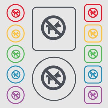 dog walking is prohibited icon sign. symbol on the Round and square buttons with frame. illustration