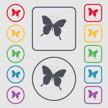 butterfly icon sign. symbol on the Round and square buttons with frame. illustration