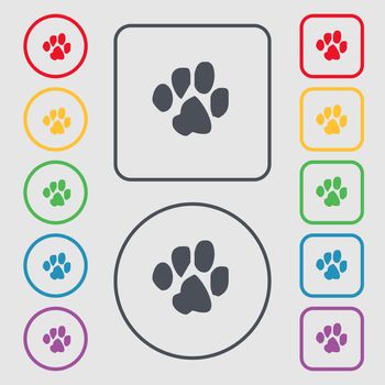 trace dogs icon sign. symbol on the Round and square buttons with frame. illustration