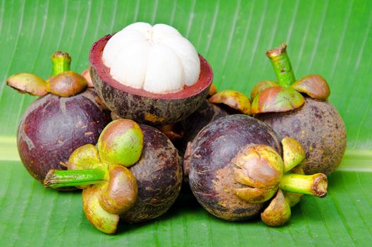 Mangosteen on leaves background, Queen of fruit.
