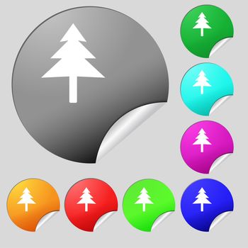 Christmas tree icon sign. Set of eight multi colored round buttons, stickers. illustration