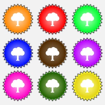 Tree, Forest icon sign. A set of nine different colored labels. illustration 