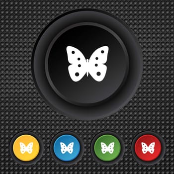 Butterfly sign icon. insect symbol. Set colourful buttons. illustration