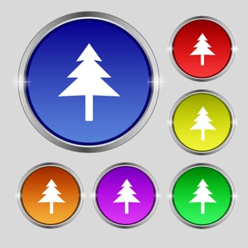 Christmas tree icon sign. Round symbol on bright colourful buttons. illustration