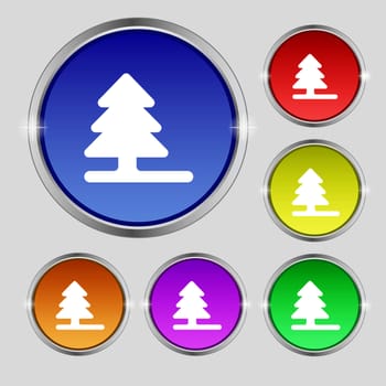 Christmas tree icon sign. Round symbol on bright colourful buttons. illustration