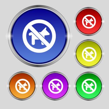 dog walking is prohibited icon sign. Round symbol on bright colourful buttons. illustration