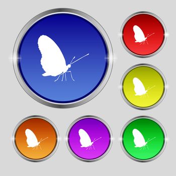 butterfly icon sign. Round symbol on bright colourful buttons. illustration