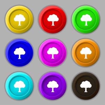 Tree, Forest icon sign. symbol on nine round colourful buttons. illustration