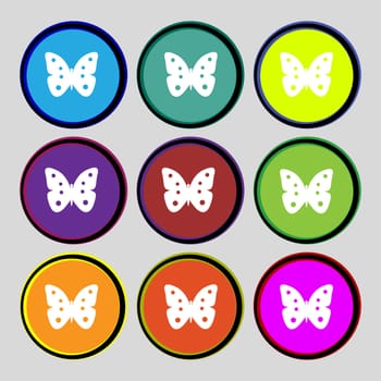 Butterfly sign icon. insect symbol. Set colourful buttons. illustration