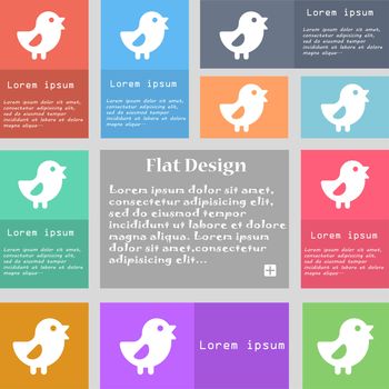 chicken, Bird icon sign. Set of multicolored buttons with space for text. illustration