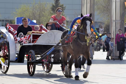 Driving on horses in city park.