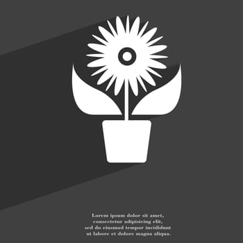 Flowers in pot icon symbol Flat modern web design with long shadow and space for your text. illustration