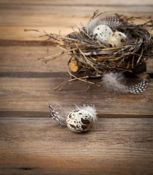 quail eggs with feather on wooden background