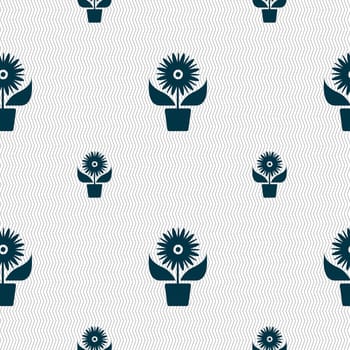 Flowers in pot icon sign. Seamless pattern with geometric texture. illustration