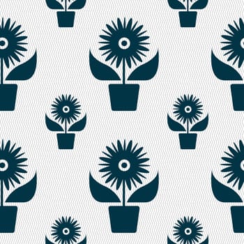 Flowers in pot icon sign. Seamless pattern with geometric texture. illustration
