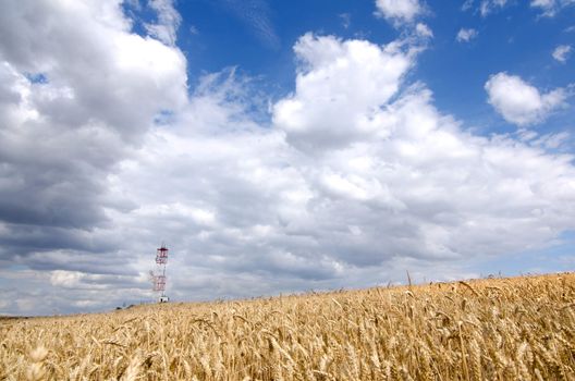 Iron satellite tower on the hill with wheat field.