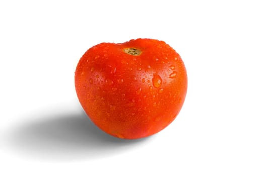 Fresh dewy tomato isolated on white backgorund.