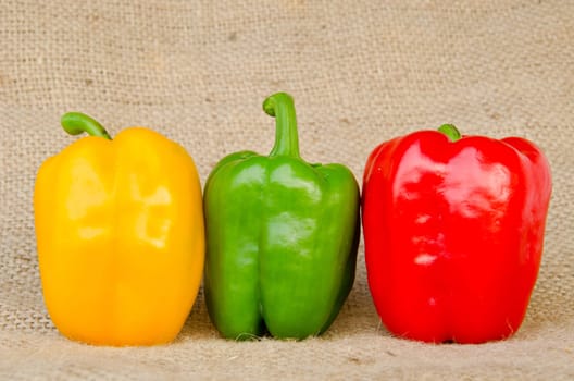 three bell peppers isolated on sack