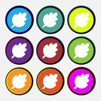 Leaf, Fresh natural product icon sign. Nine multi-colored round buttons. illustration