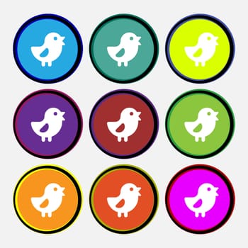 chicken, Bird icon sign. Nine multi colored round buttons. illustration