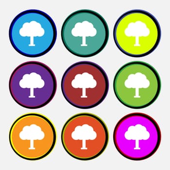 Tree, Forest icon sign. Nine multi-colored round buttons. illustration